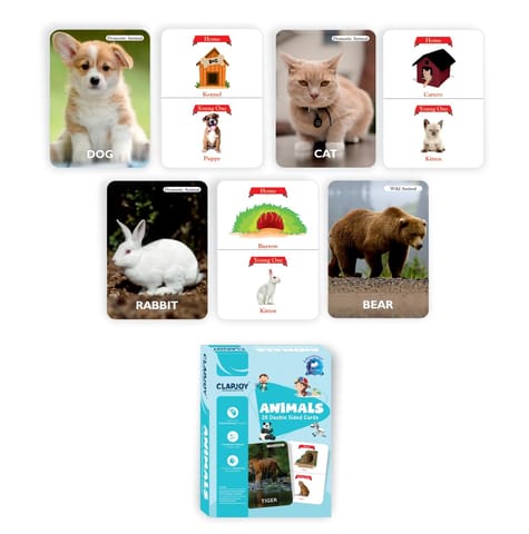 Clapjoy Combo set to 7 flash card for kids of age 2 years and Above