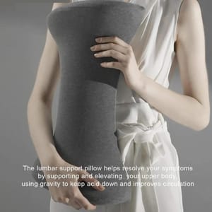 Healthcub Pregnancy Back Support