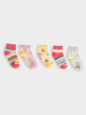 Mi Arcus Cotton Printed Multi color Socks for Kids Pack of 3