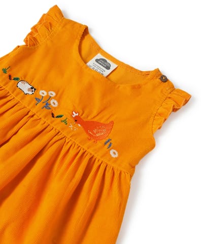 Mi Arcus Full Sleeve Top with Dress Set for Girls