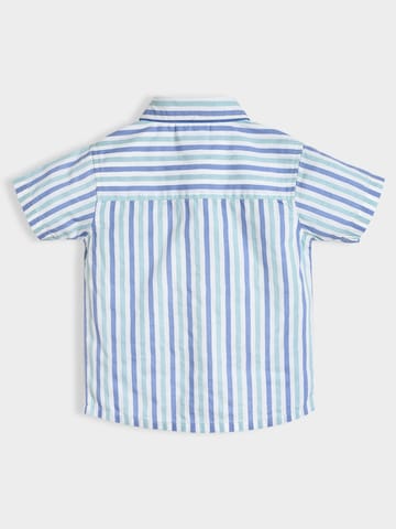 Mi Arcus Cotton Half Sleeve Shirt with Shorts Set for Boys