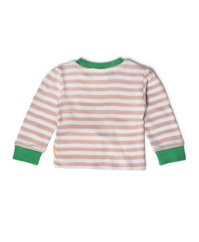 Mi Arcus Striper Tshirt with Jogger Clothing Set for Kids