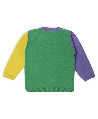 Mi Arcus Round Neck Full Sleeve Sweater for Kids