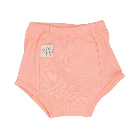 A Toddler Thing Ultra Undies -  Bee Bottom