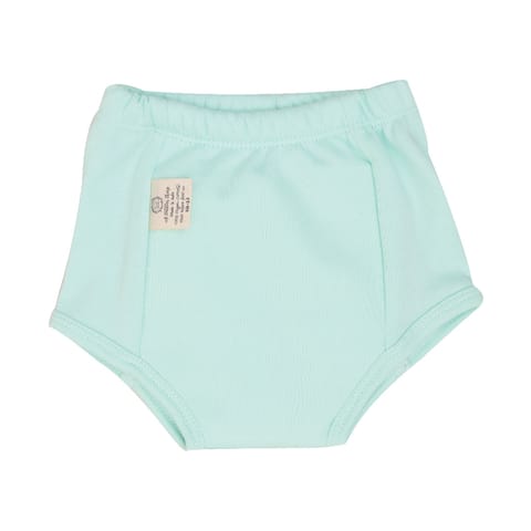 A Toddler Thing Ultra Undies -  Turtely Blue